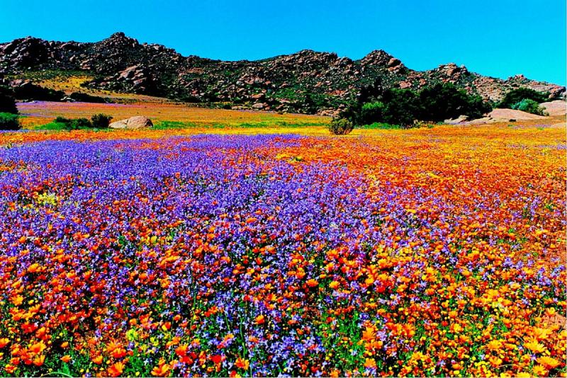 NAMAQUALAND Travel Agents Durban South Africa