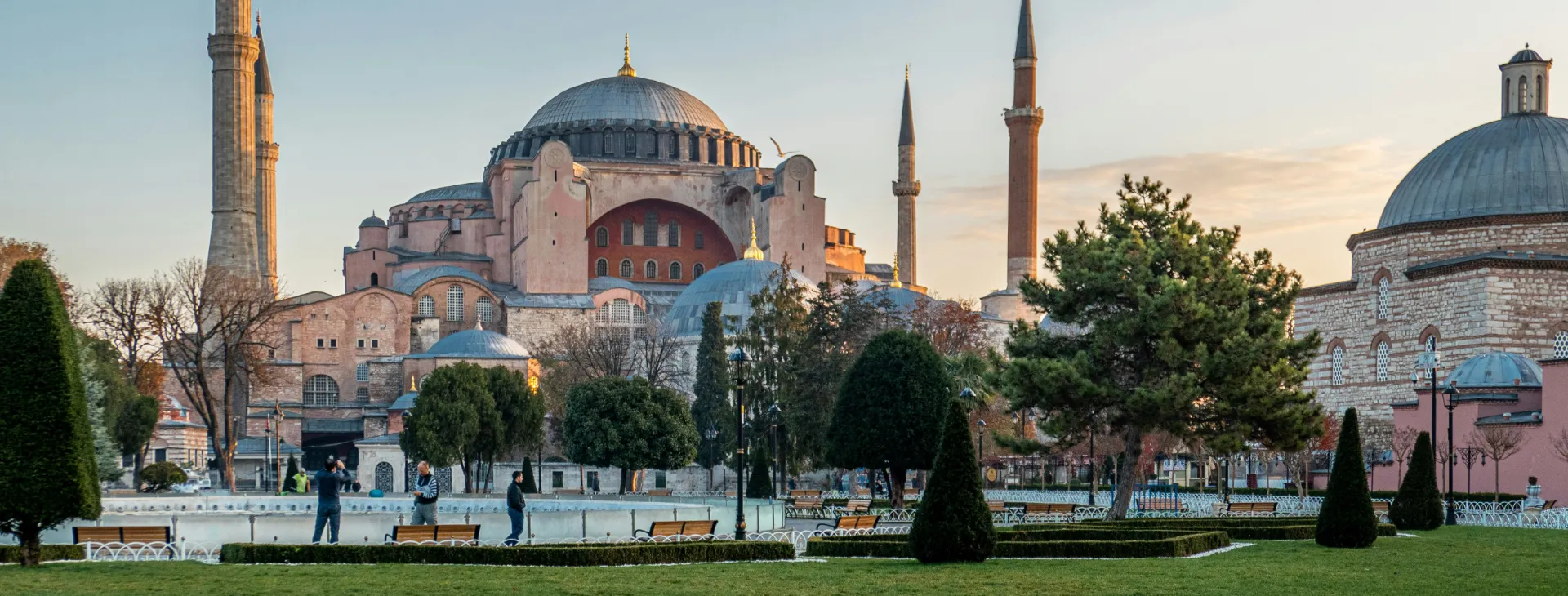 turkey cover