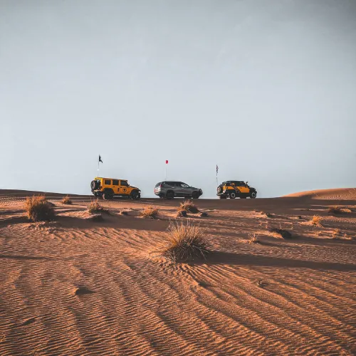 desert adventure