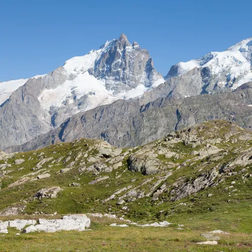 alps