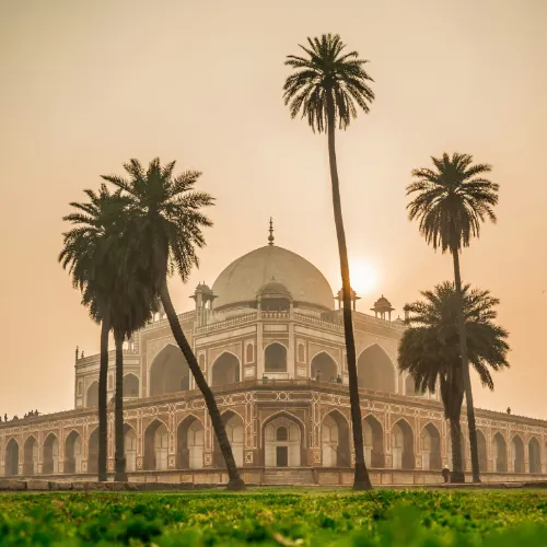 delhi
