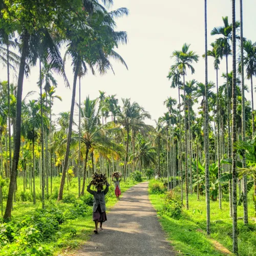 kerala