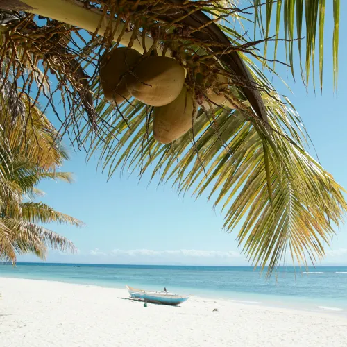 paradise beaches