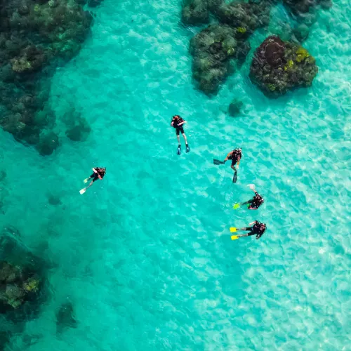 underwater adventures