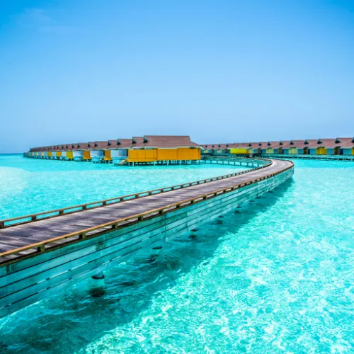 luxurious stays overwater villas