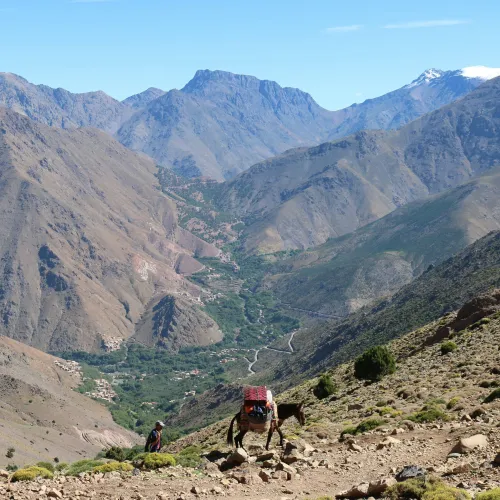 atlas mountains