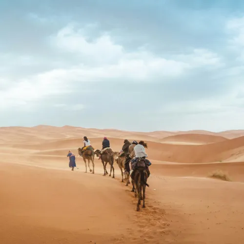 desert adventures