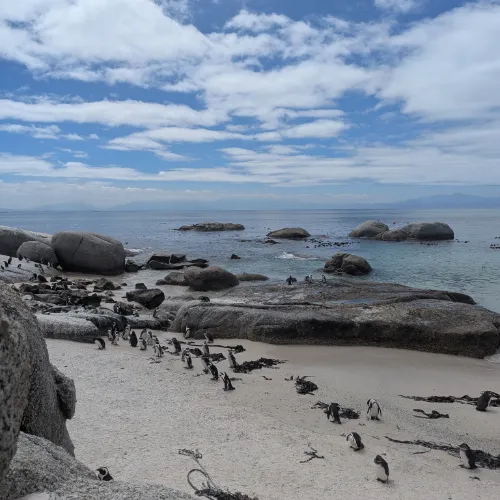 boulders beach
