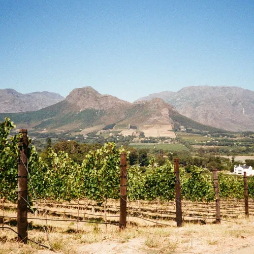 winelands