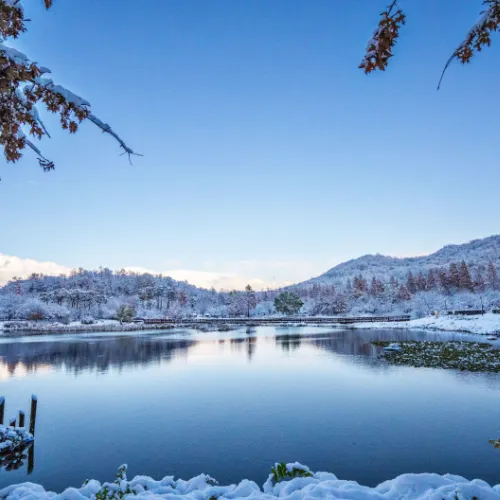 winter wonderland
