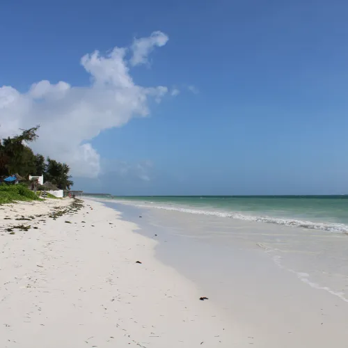 beaches