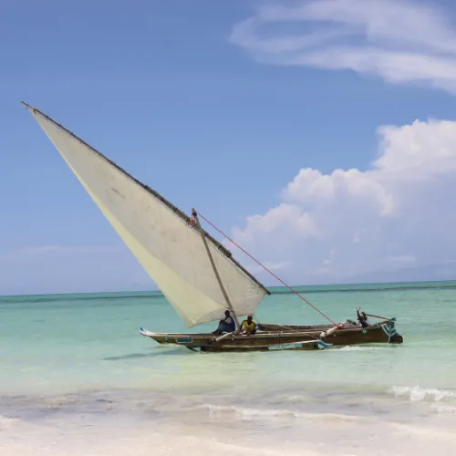 marine adventures