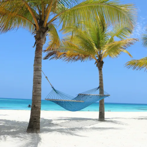 relax unwind recharge
