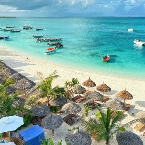 spice island aromas