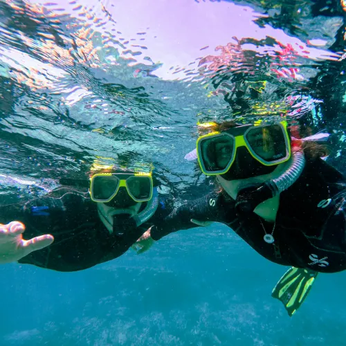 underwater adventures