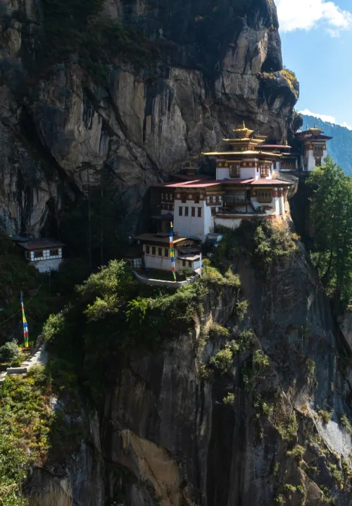 paro