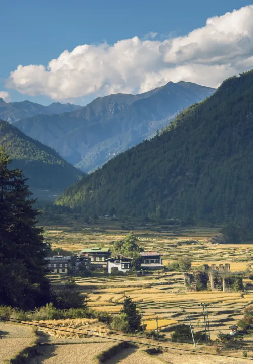 phobjikha
