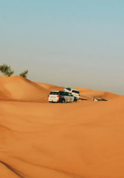 desert safari