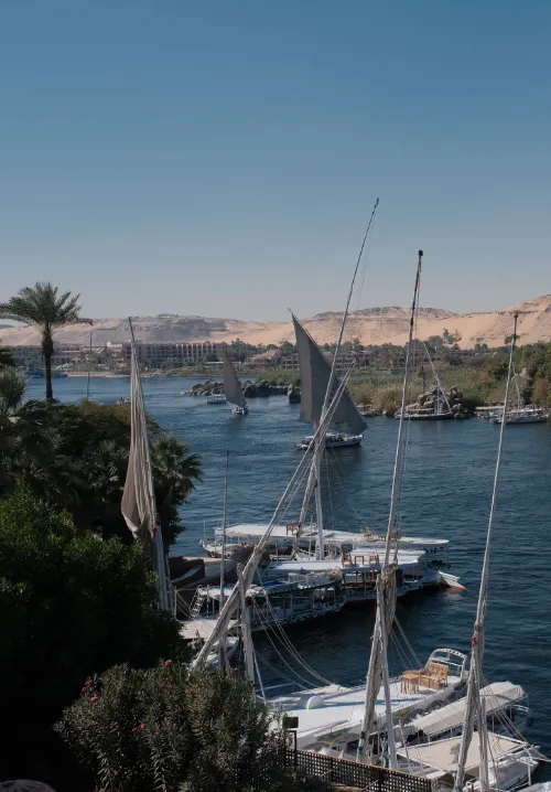 nile cruise