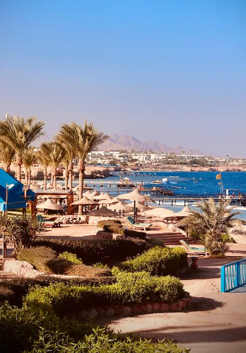 red sea