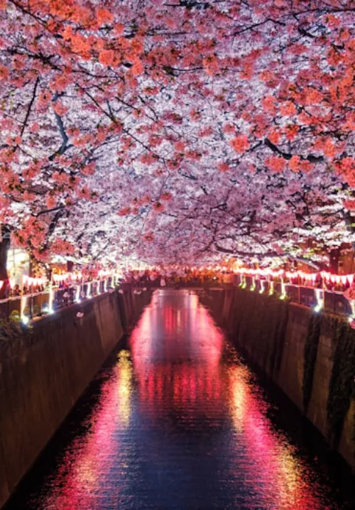 nara