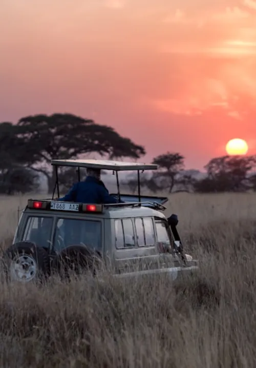 amboseli