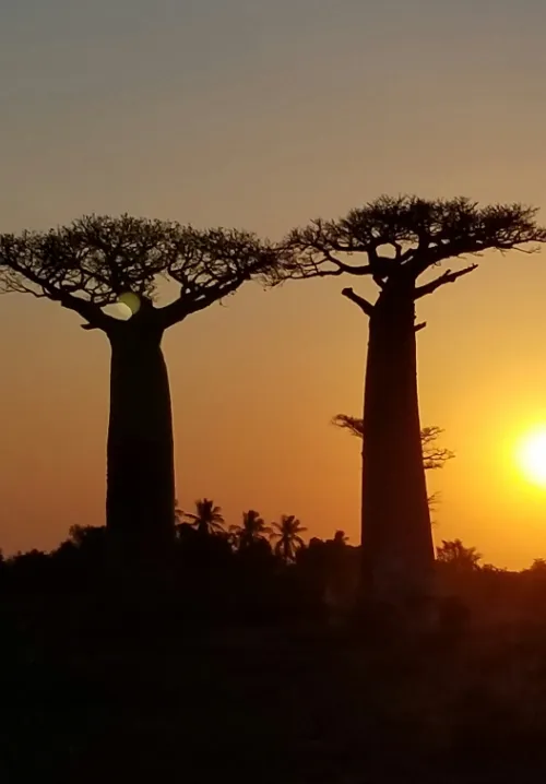 morondava