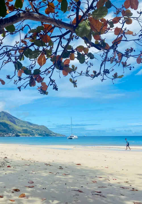 beau vallon