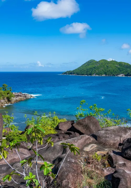 la digue