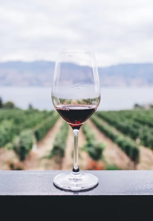 winelands