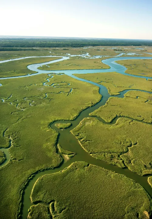 zambezi